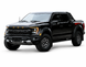 Ford F150 Raptor 2021+ style body kit